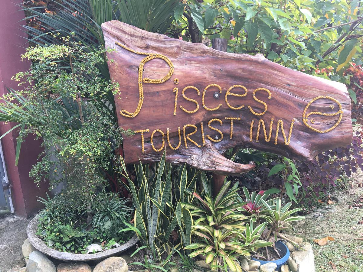 Pisces Tourist Inn - Port Barton San Vicente  Dış mekan fotoğraf